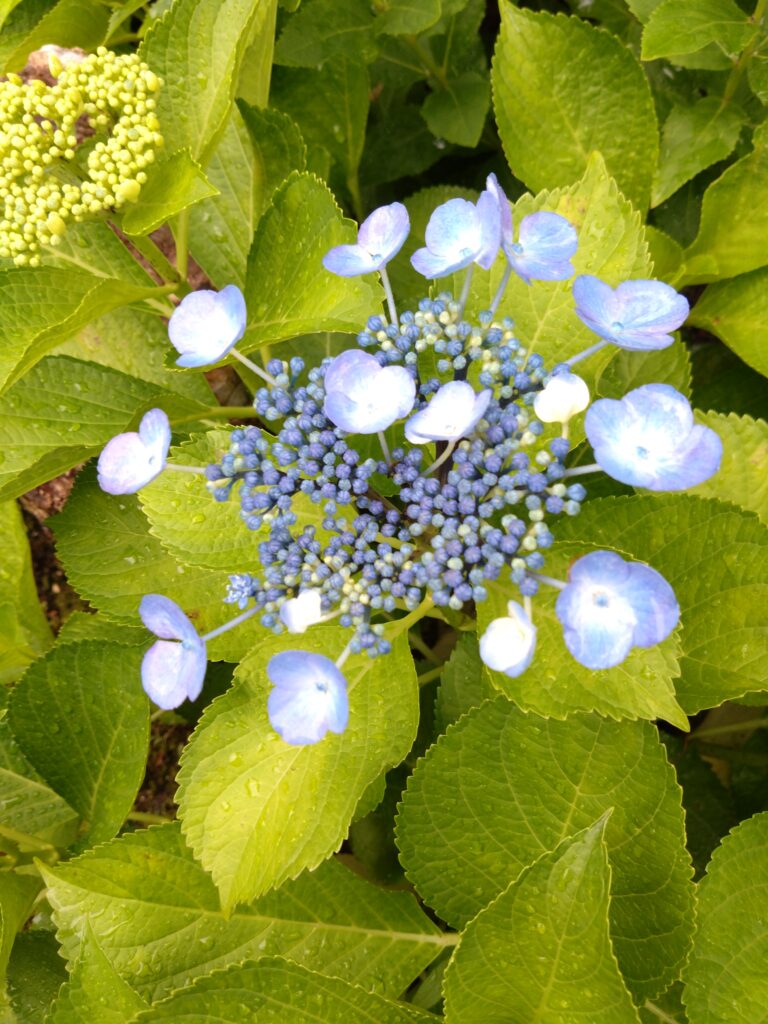 画像に alt 属性が指定されていません。ファイル名: 2023_DSC_0487-768x1024.jpg